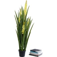 Plante décorative Rhynchostylis 150cm