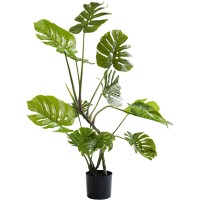 Decoration plant Monstera 110