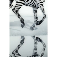 Image Verre Savane Zebra 120x120